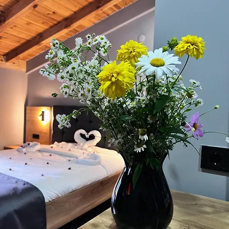 Palazzo Hotel Ayder Yaylasi