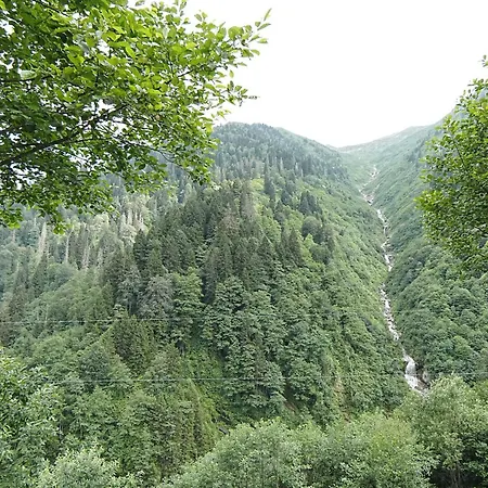 Palazzo 4* Ayder Yaylasi
