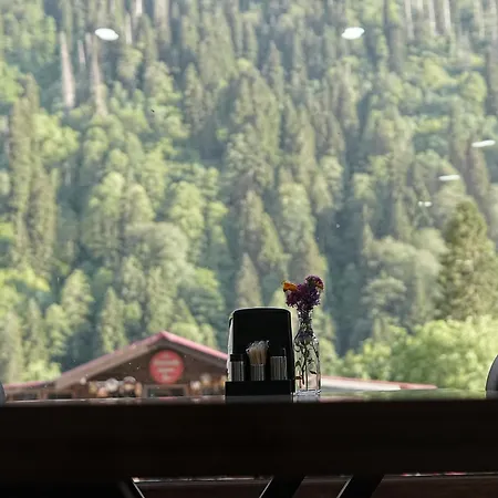 Palazzo Hotel Ayder Yaylasi